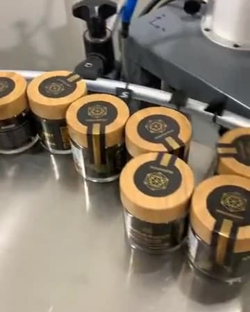 A Sorting Robotics cobot packing jars into a case on a custom production cell